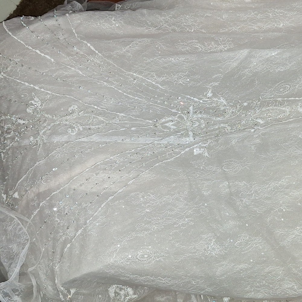 She's the Grand-Dom of all the wedding gowns. SIZE 12, # OJ1762 - Picture 12 of 14